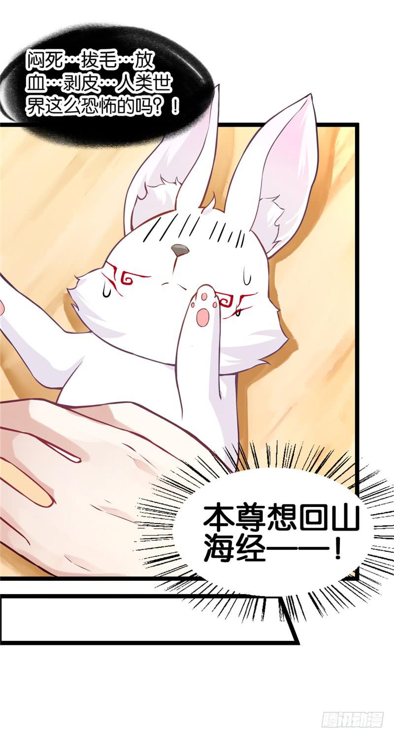 001 神兽落难-第2话