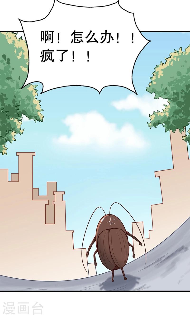 第15话 猫-第16话