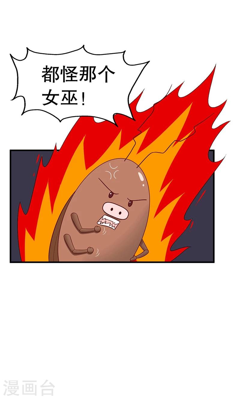 第15话 猫-第16话