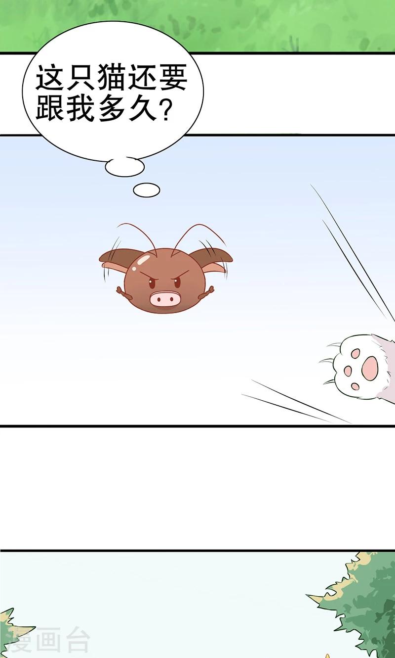 第15话 猫-第16话