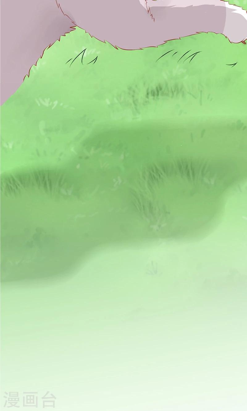 第15话 猫-第16话