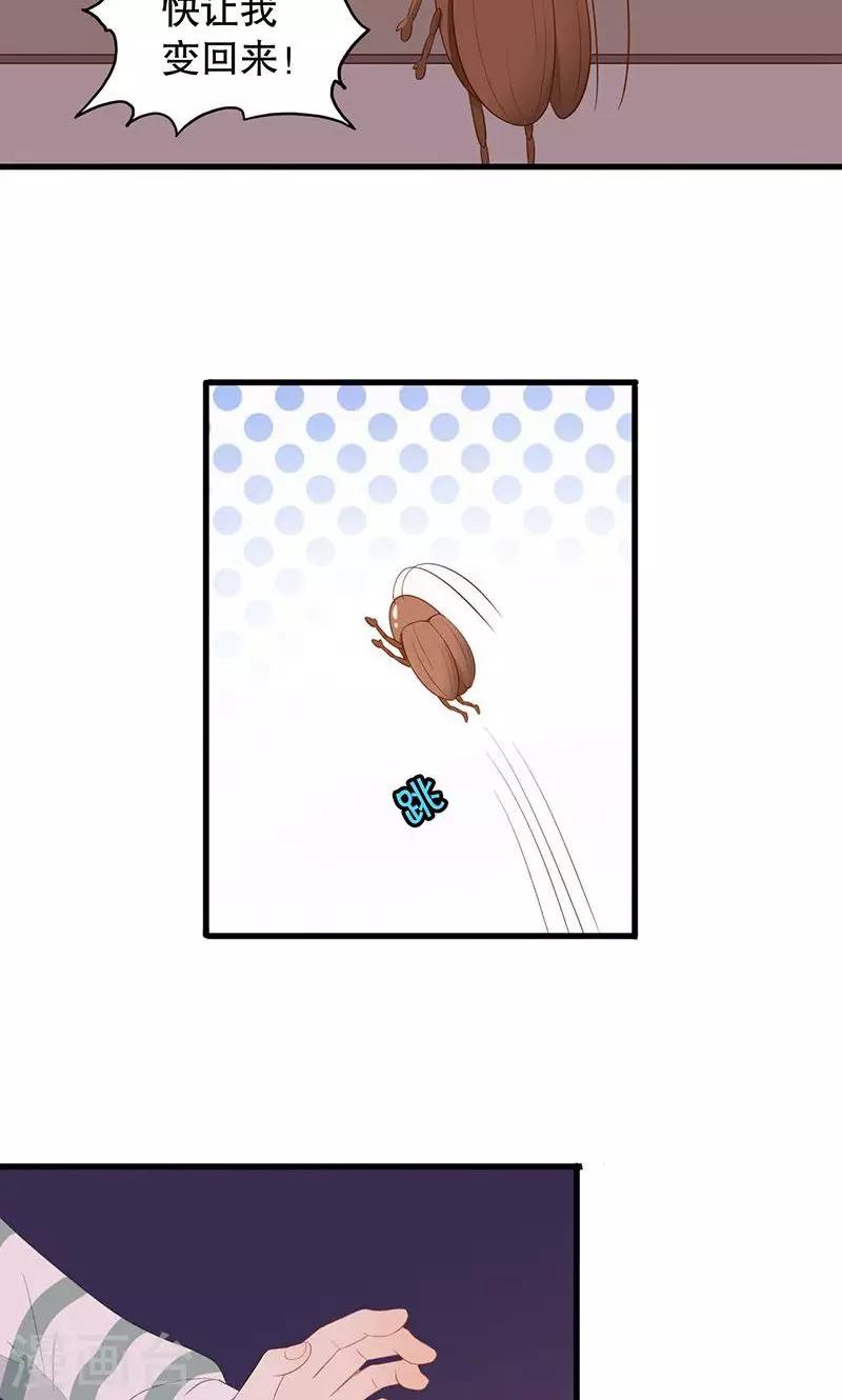 第5话 和我签订契约吧！-第6话