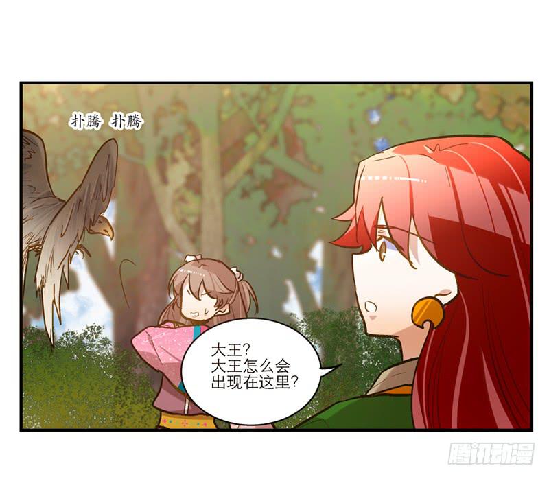 第六十二话 野生动物园-第62话