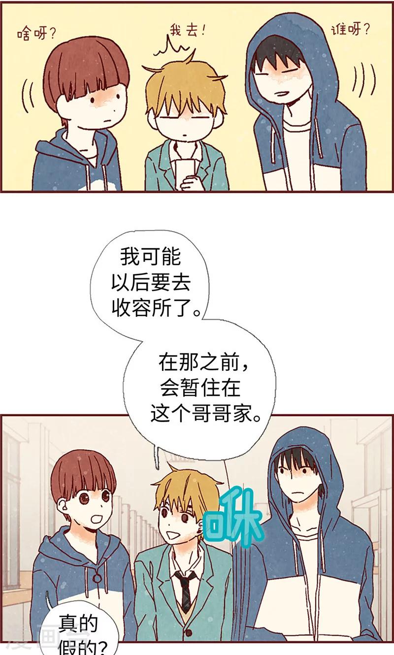 第8话 想去收容所-第8话