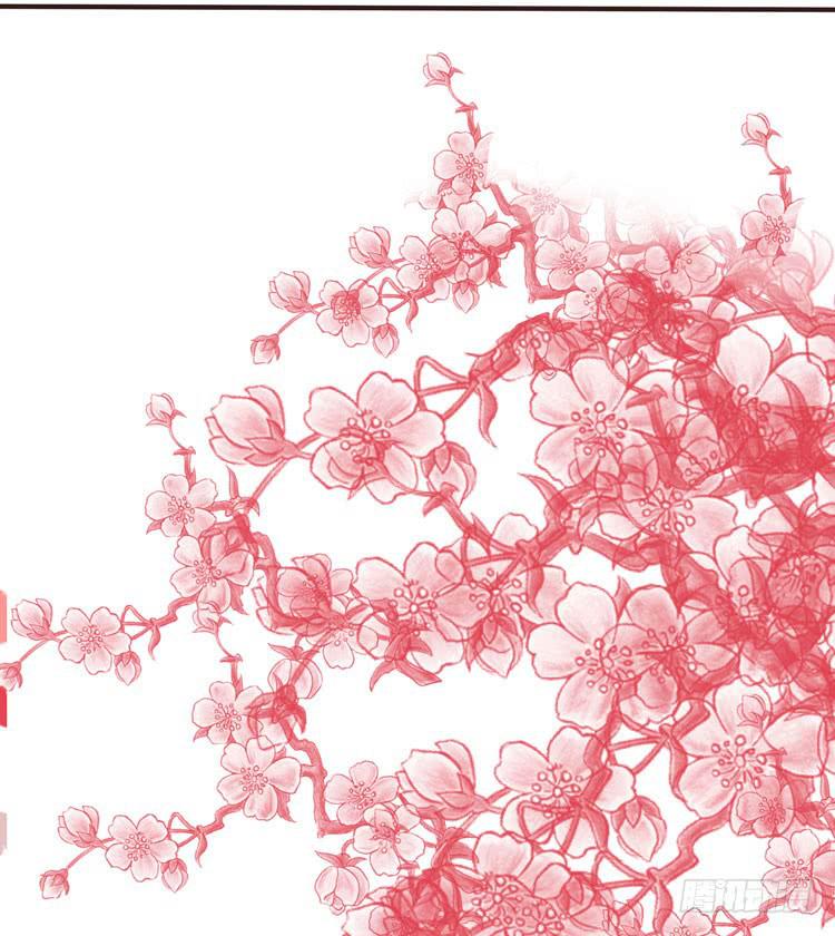 2016年，黛玉再次葬花-第14话