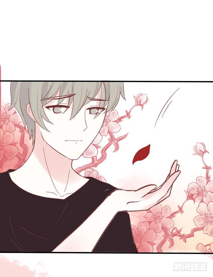 2016年，黛玉再次葬花-第14话