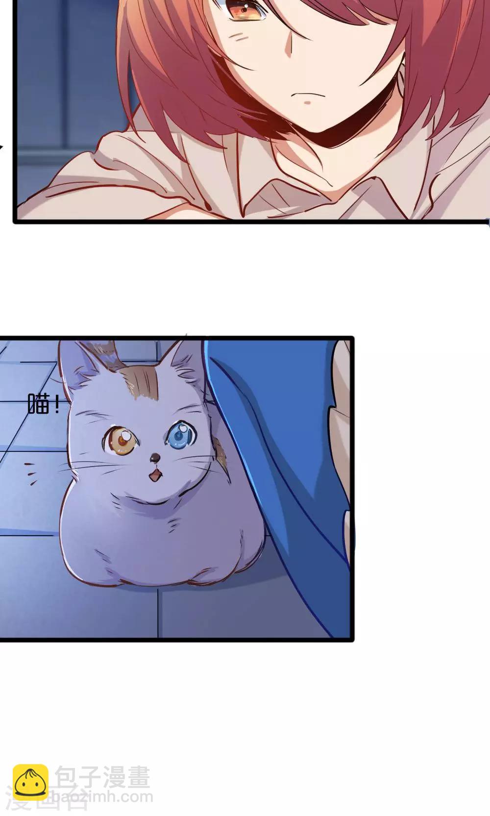 第14话 有猫了1-第14话