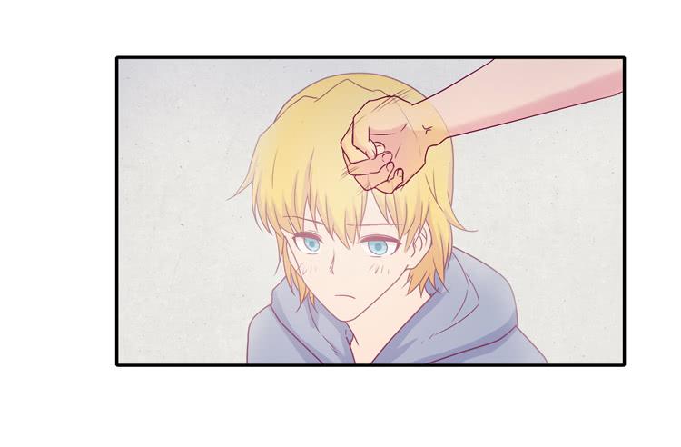 向流星许愿(1/2)-第108话