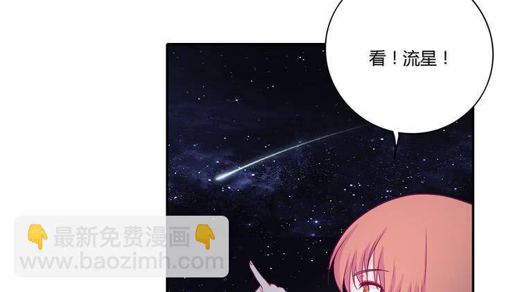 向流星许愿(1/2)-第108话