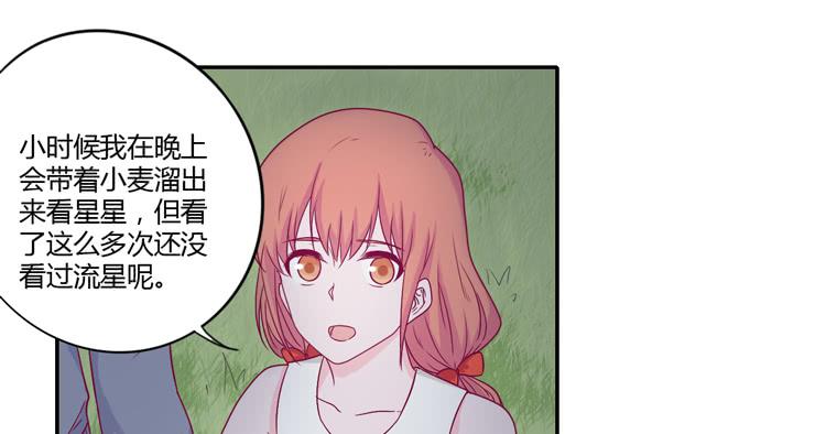 向流星许愿(1/2)-第108话