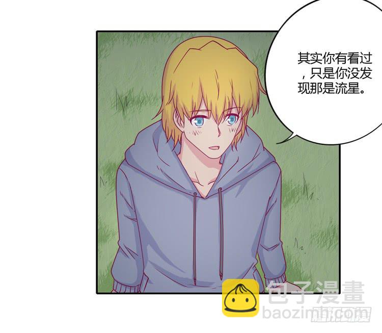 向流星许愿(1/2)-第108话