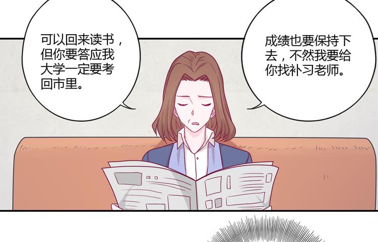 向流星许愿(1/2)-第108话