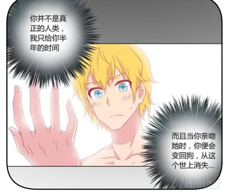 咦~你们在偷偷商量什么？(1/3)-第174话