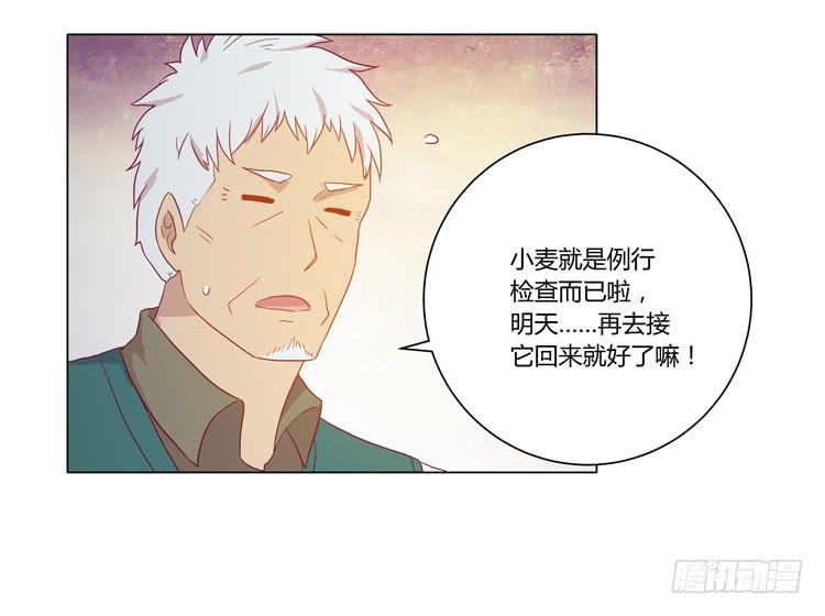 爷爷，我要见小麦！(1/2)-第50话