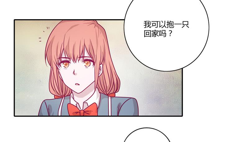 蕾蕾不见了？！(1/2)-第88话