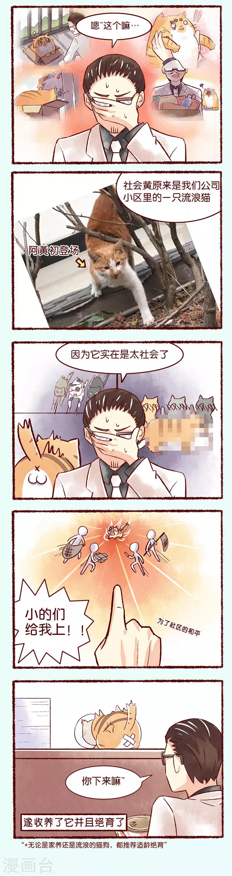 第102话 理想和现实-第104话