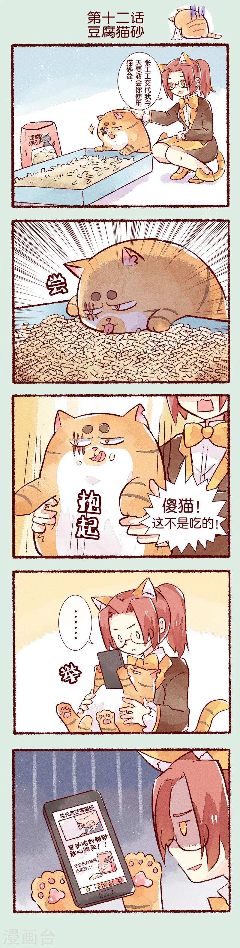 第12话 豆腐猫砂-第12话