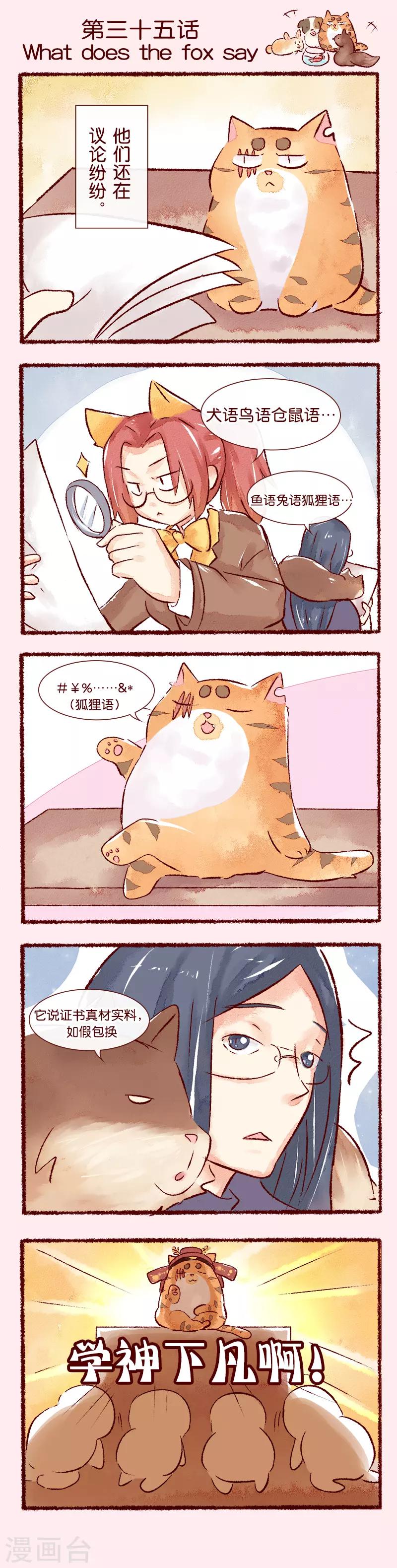 第35话 What does the fox say-第36话