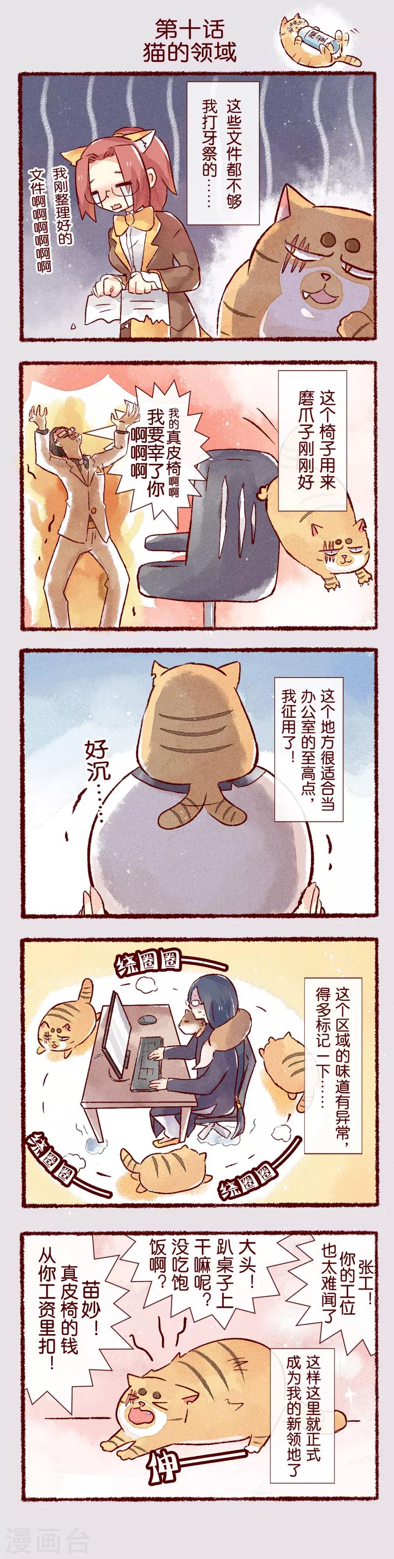 第10话 猫的领域-第10话
