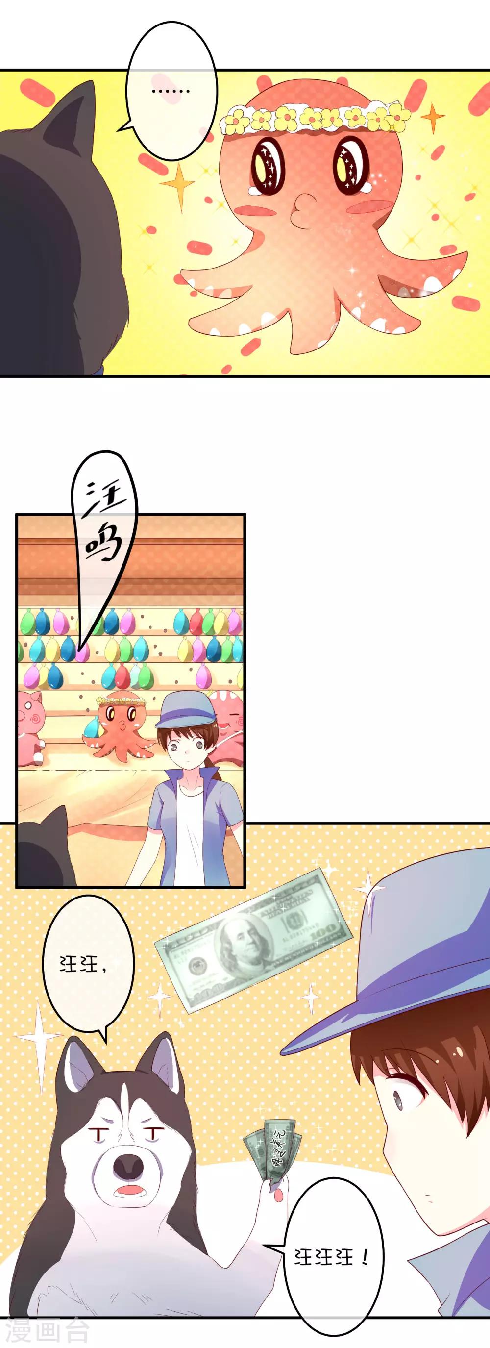 第16话 猫狗再相逢-第24话