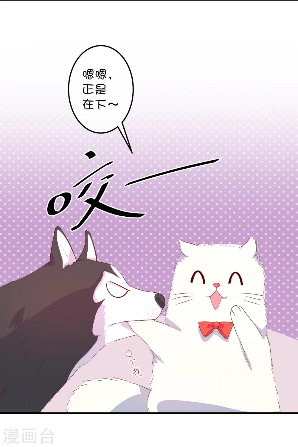 第16话 猫狗再相逢-第24话