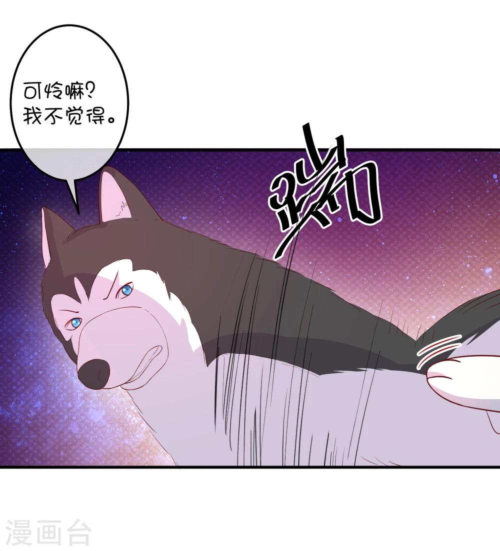 第16话 猫狗再相逢-第24话