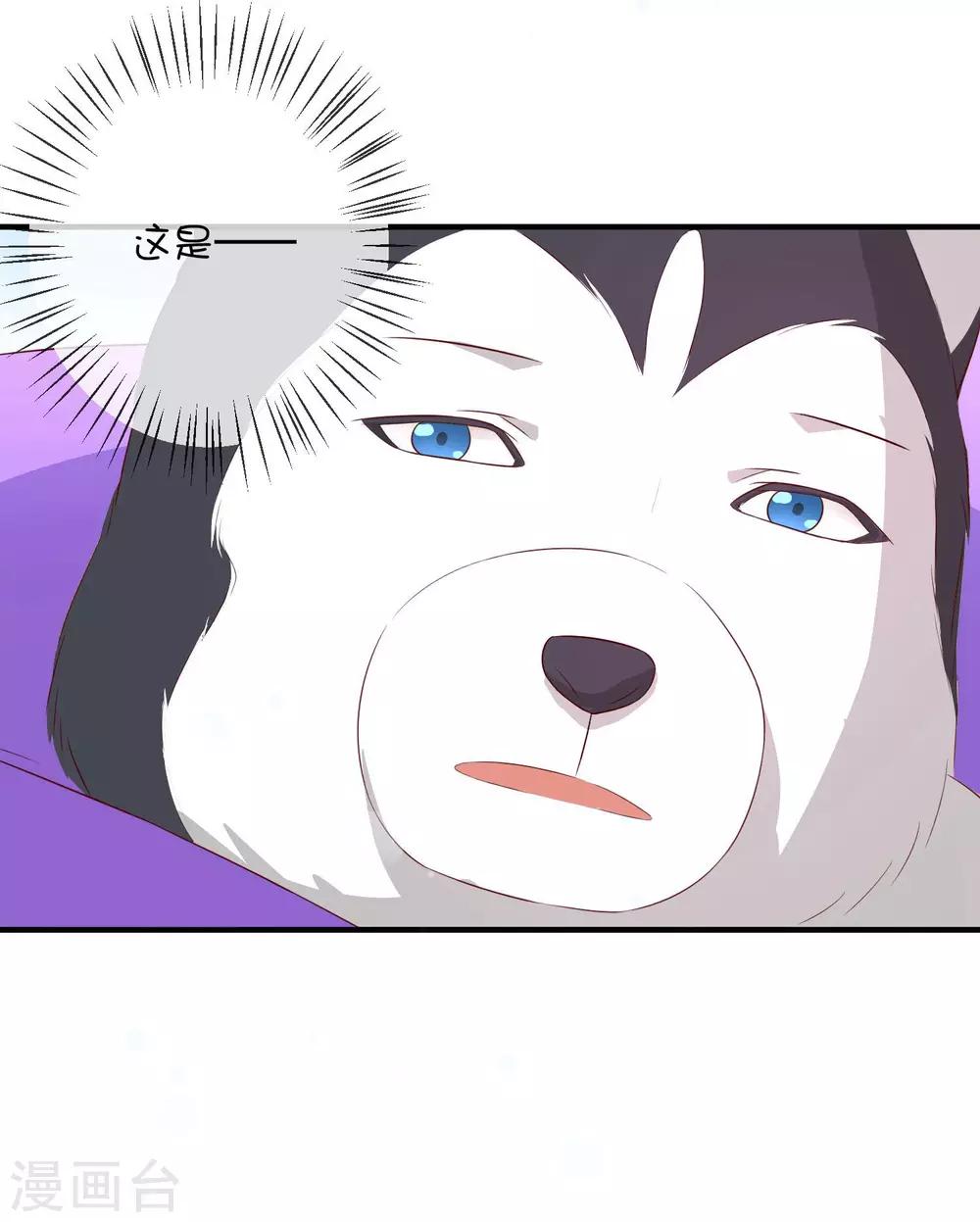 第20话1 独闯大殿-第28话