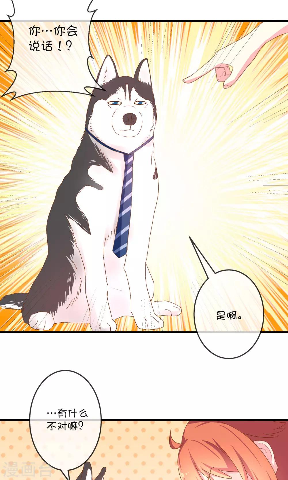 第5话1 汪总裁-第10话