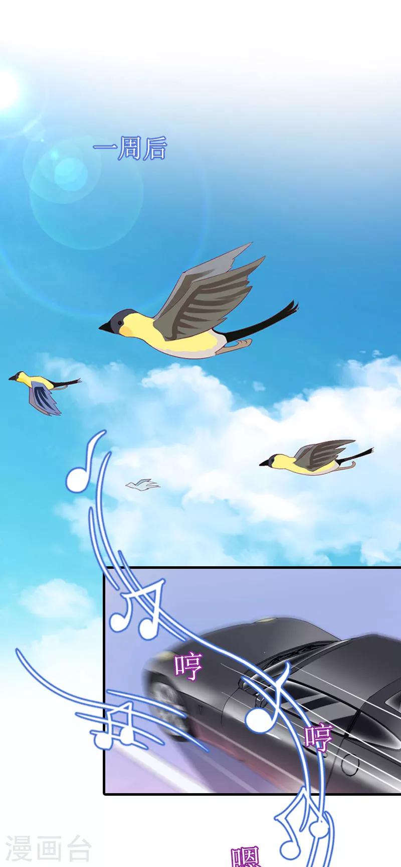 誤入婚途:叛逆夫妻 - 第28話 完美的人生（完結）(1/2) - 1