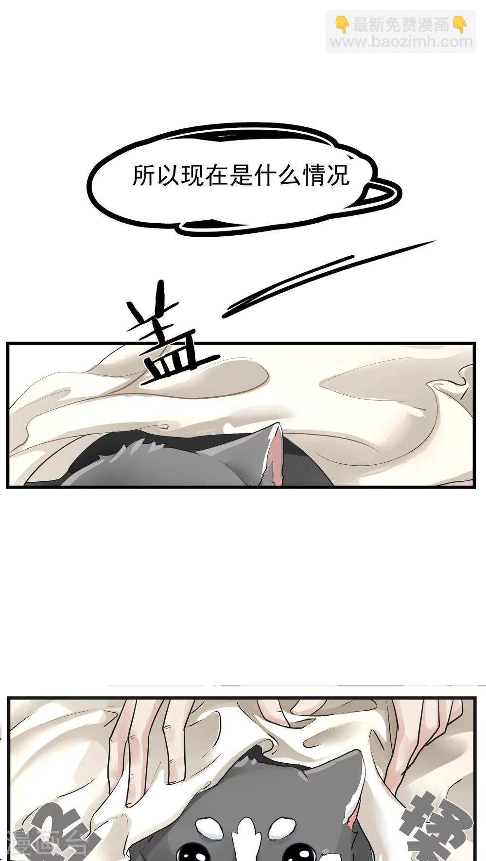 第12话 这是梦吧！1-第12话