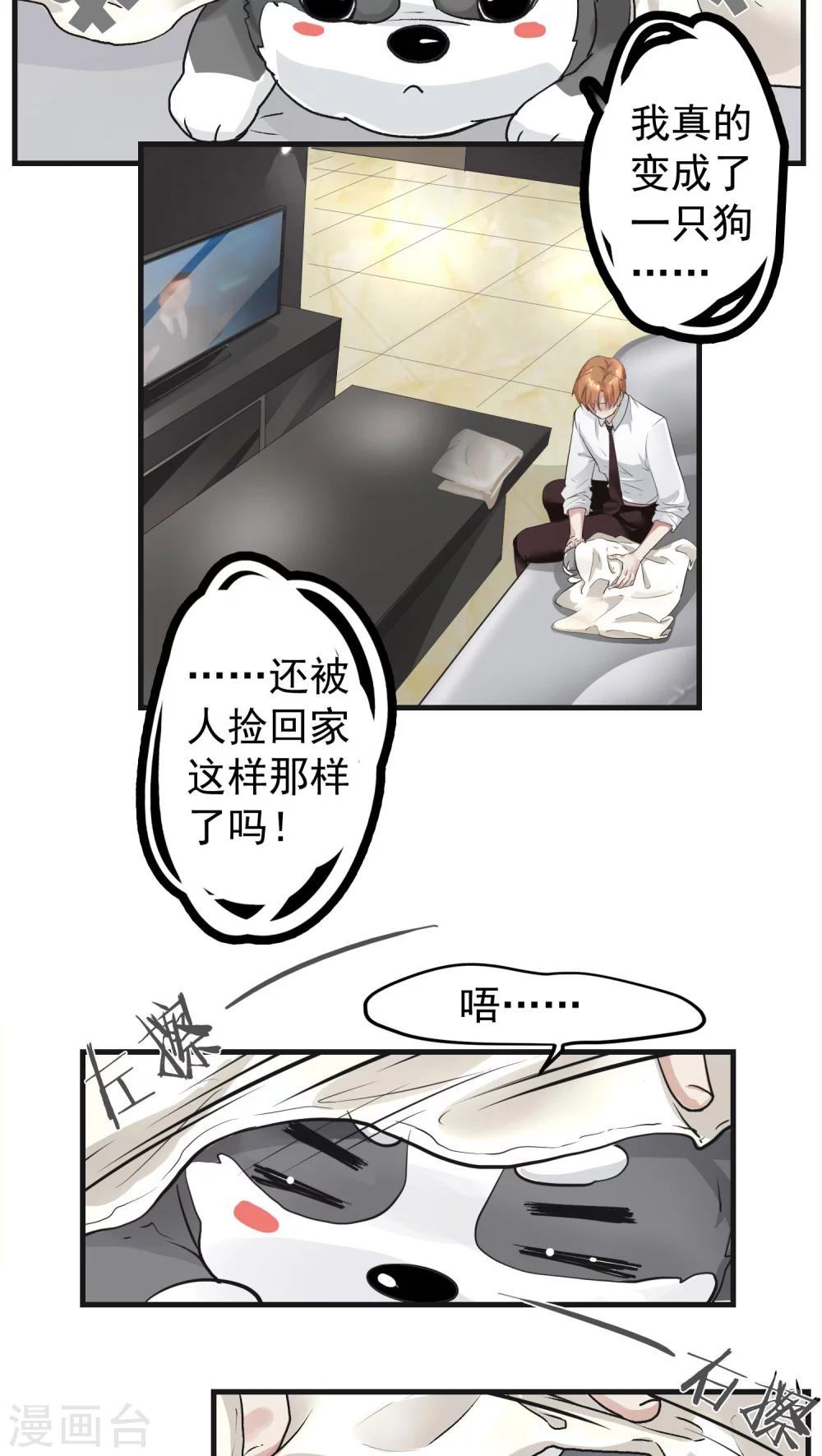 第12话 这是梦吧！1-第12话