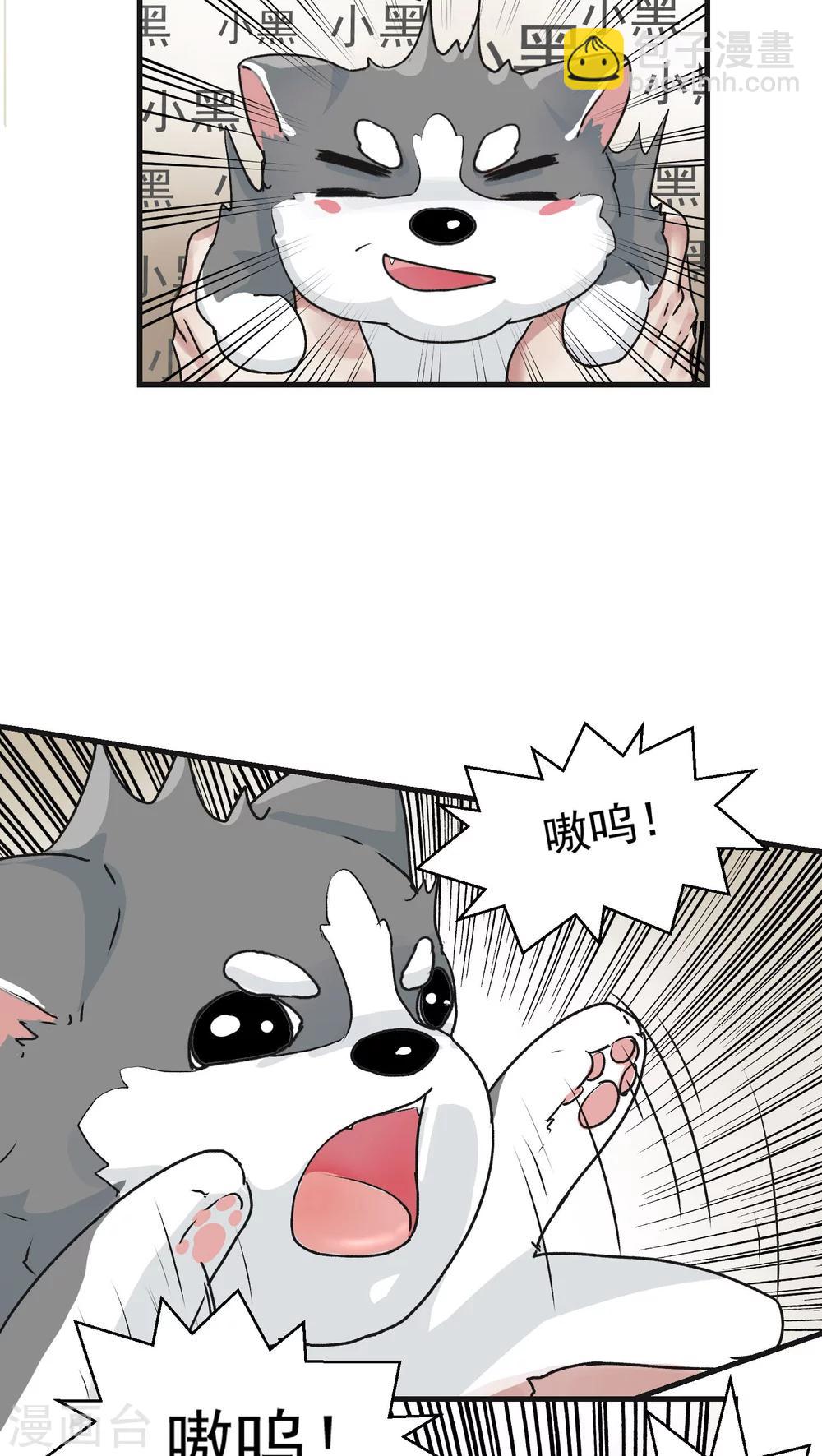 第12话 这是梦吧！1-第12话