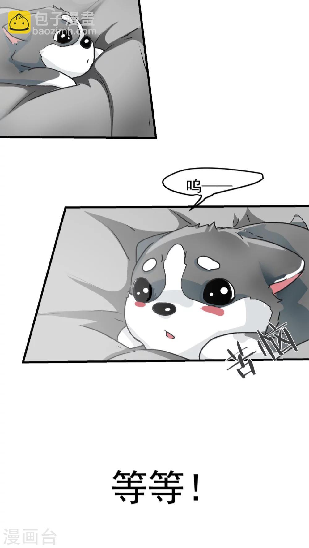 第12话 这是梦吧！1-第12话