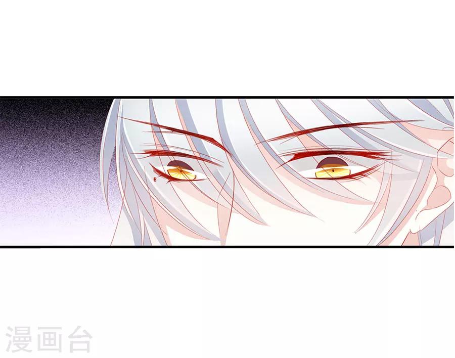 第52话 刺客-第52话