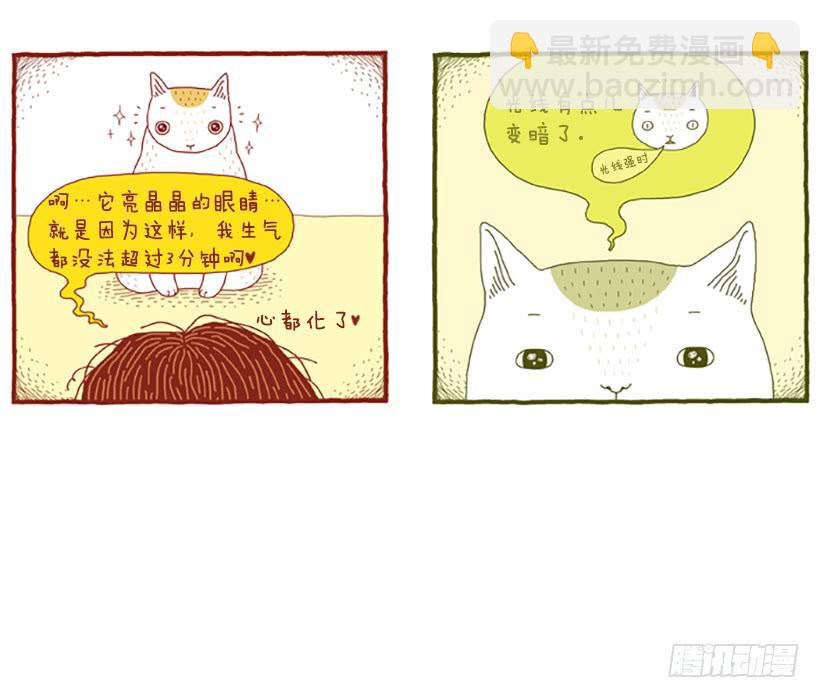 人猫没有隔夜仇-第12话