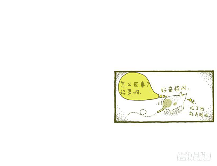 人猫没有隔夜仇-第12话