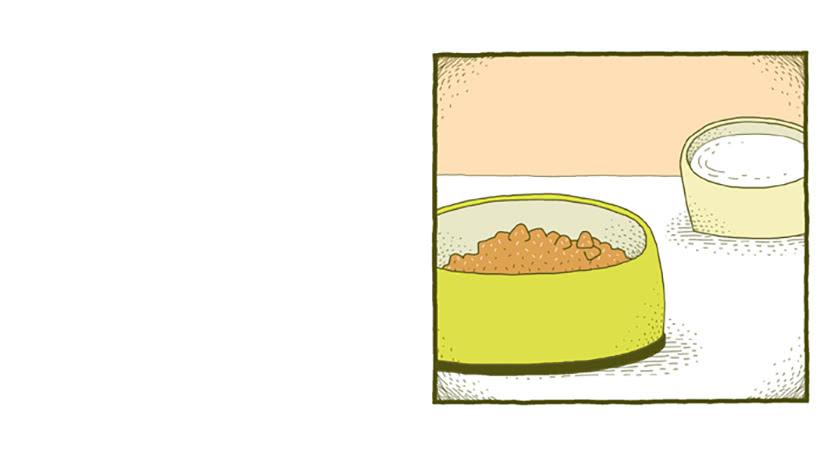 窗外的猫 下篇-第16话