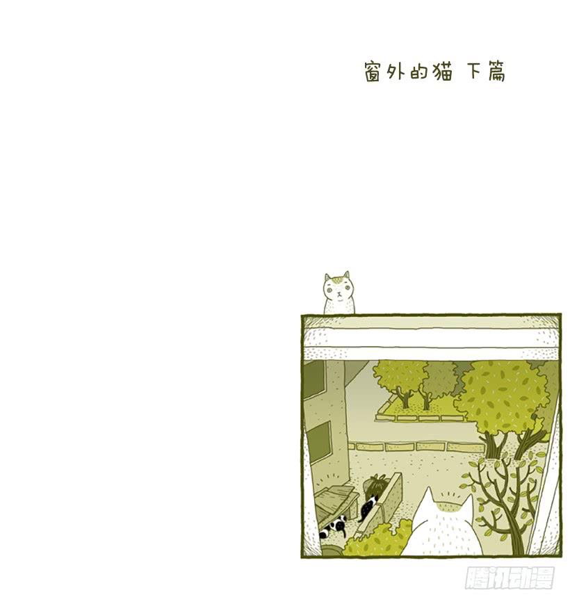 窗外的猫 下篇-第16话