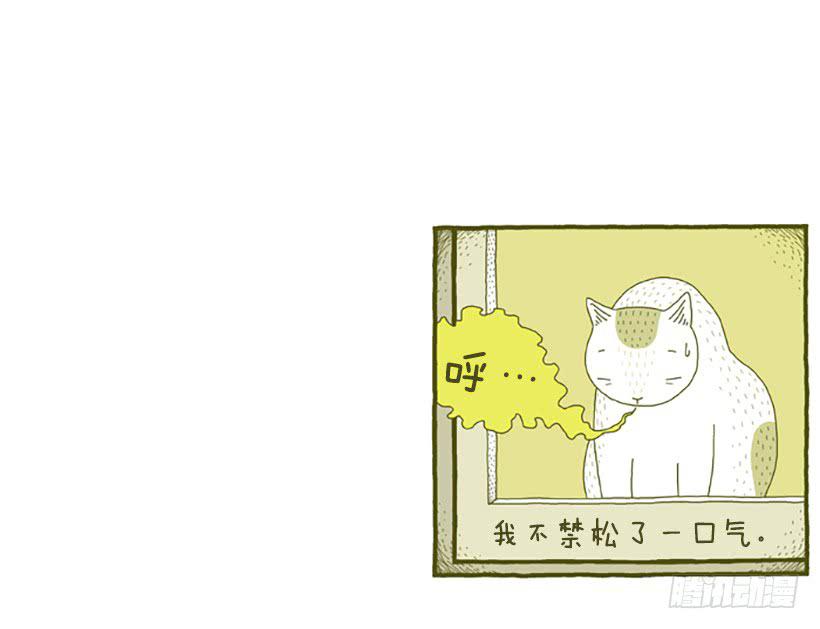 窗外的猫 下篇-第16话