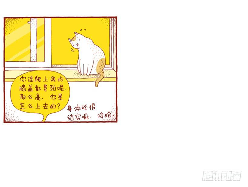 窗外的猫 下篇-第16话