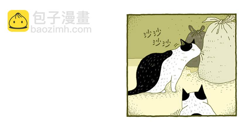 窗外的猫 下篇-第16话