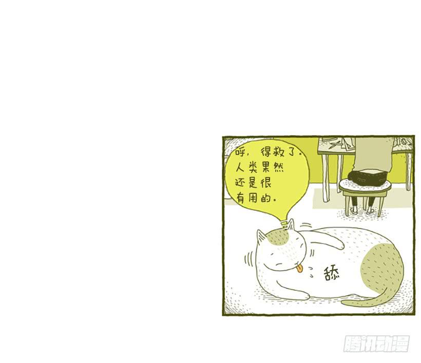 窗外的猫 下篇-第16话