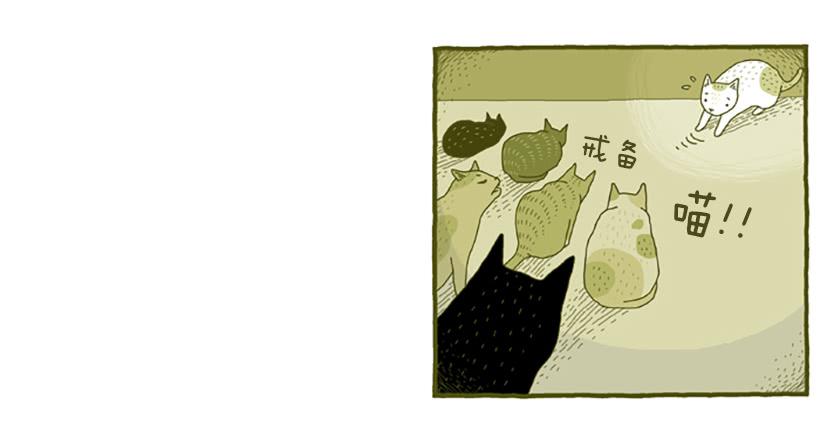 窗外的猫 下篇-第16话