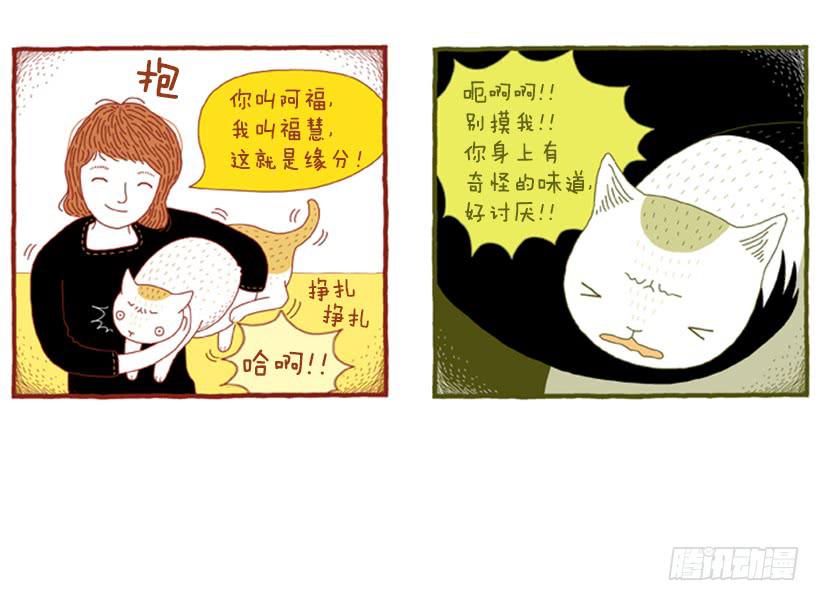 明明什么都不了解-第24话