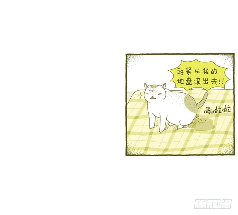 明明什么都不了解-第24话