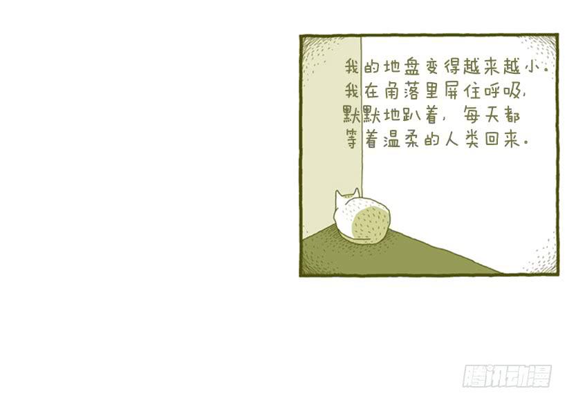 她去哪儿了-第4话