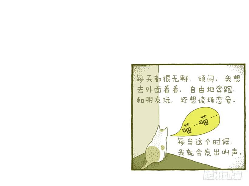 她去哪儿了-第4话