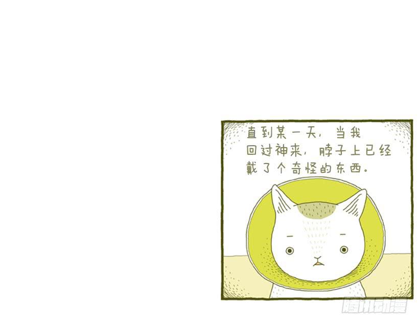 她去哪儿了-第4话