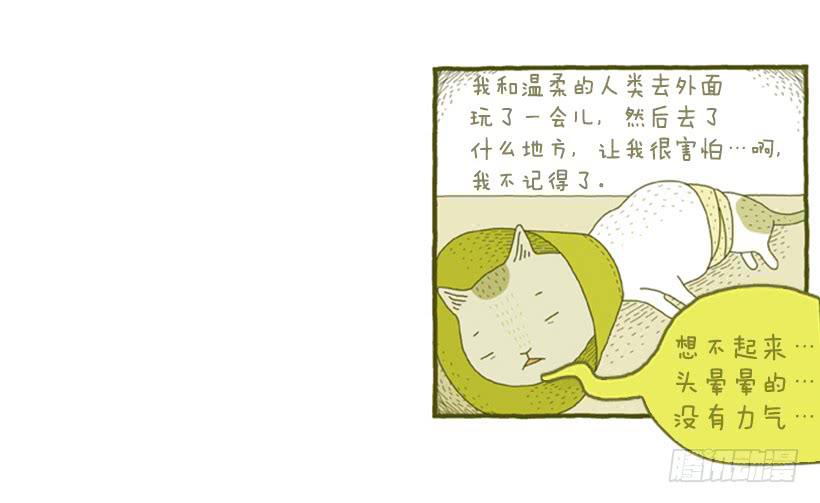 她去哪儿了-第4话