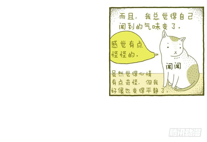 她去哪儿了-第4话